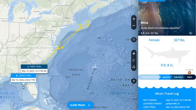 Mira's tracking since May 15, 2025