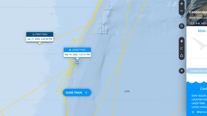 Contender's first ping in Jan. 2025 compared to his most recent ping on Thursday, March 19, 2025.