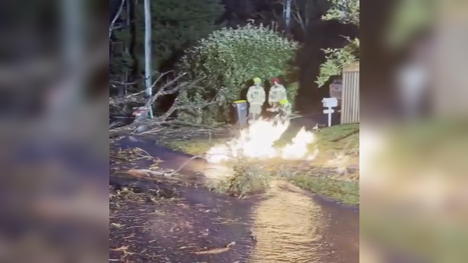A powerful lightning strike hit Katoomba, New South Wales, on Monday, March 23, setting a footpath ablaze, causing a tree to explode, and rupturing gas and water mains, blowing out nearby windows.