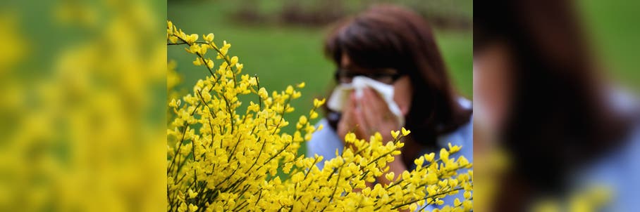 Allergy season is worse than ever. Here are the 10 worst allergy capitals in the US for 2026