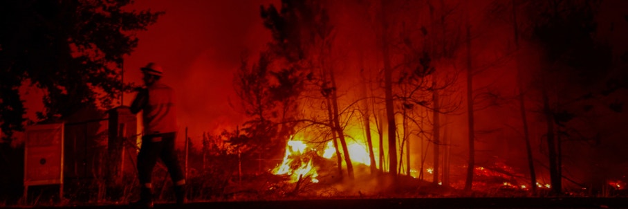 Nearly 50M people across 18 states under Fire Weather Warnings as cold, dry air and gusty winds move across US