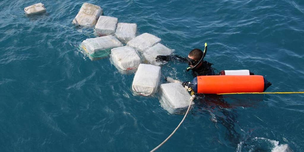 Hooked: Cocaine pollution has sharks and salmon off the rails — and it's not their fault