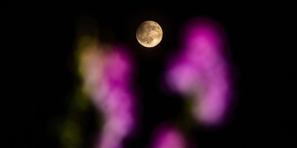 Full Flower Micromoon kicks off a rare double-moon May