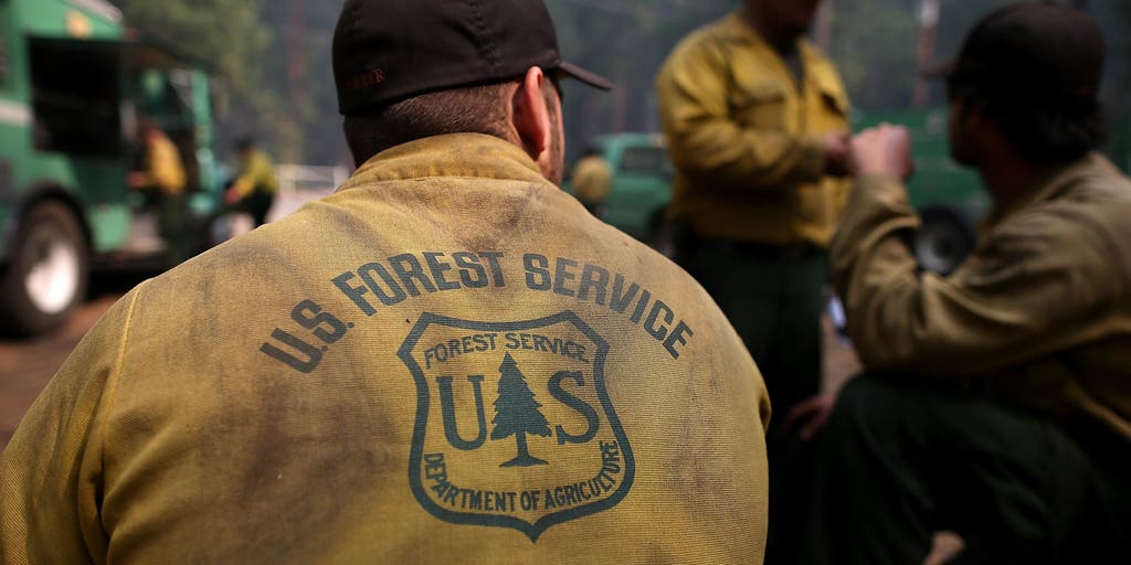 US Forest Service agency headquarters moved to Utah as 'sweeping restructure' begins