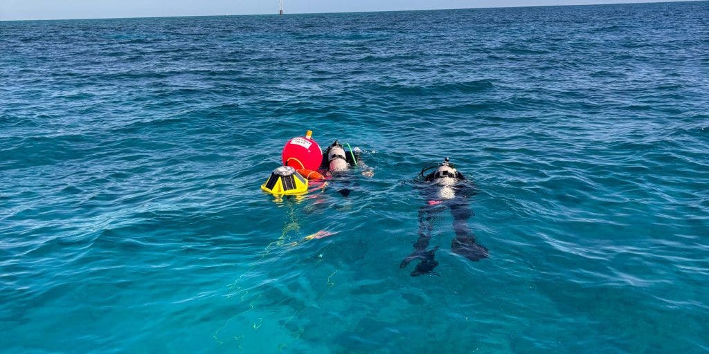 These new buoys are monitoring vital coral reef deterioration in Florida Keys