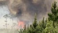 Georgia wildfires scorch over 34,000 acres and destroy more than 50 homes as evacuations continue - Fox News