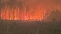 Deadly wildfires raging across Georgia and Florida fueled by dry conditions and historic drought - Fox News