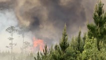 Georgia wildfires scorch over 34,000 acres and destroy more than 50 homes as evacuations continue