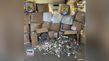 See it: Wildlife service officials seize 1,600 pounds of illegal shark fins in Alaska