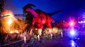 Watch: Massive 60-ton animatronic dinosaur catches fire at Kansas park following lightning strike