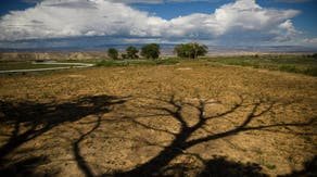 Most of Colorado is at risk of dangerous wildfires as warm, dry conditions persist