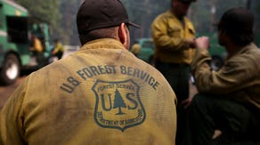 US Forest Service agency headquarters moved to Utah as 'sweeping restructure' begins