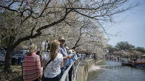 Weather whiplash: Major warmup for eastern US before Easter Sunday storms trigger rapid cooldown