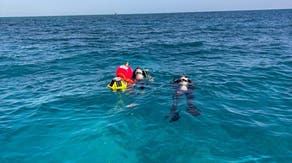 These new buoys are monitoring vital coral reef deterioration in Florida Keys