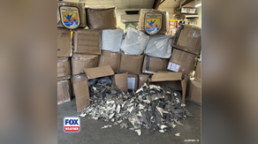 See it: Wildlife service officials seize 1,600 pounds of illegal shark fins in Alaska