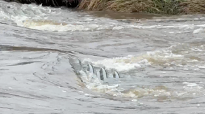 Great Lakes seeing increasing flood threat as heavy rainfall fuels rapid snowmelt
