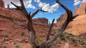 Hiker dies after fall from hiking trail in Utah’s Zion National Park