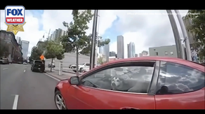 See it: Husky rescued from 113-degree car after 2 hours in the scorching Houston heat