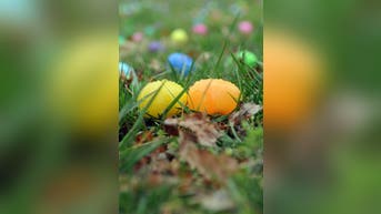 Record warmth kicks off holiday weekend, with rain looking to soak Easter plans for millions across East - Fox News