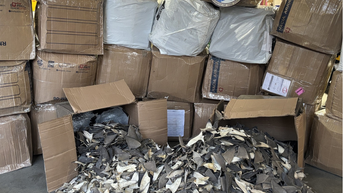 Officials seize 1,600 pounds of illegal shark fins in this state - Fox News