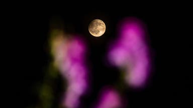Full Flower Micromoon kicks off a rare double-moon May
