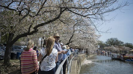 Weather whiplash: Record warmth expected for eastern US across holiday weekend followed by rapid cooldown