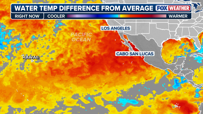 Current sea surface temperatures.