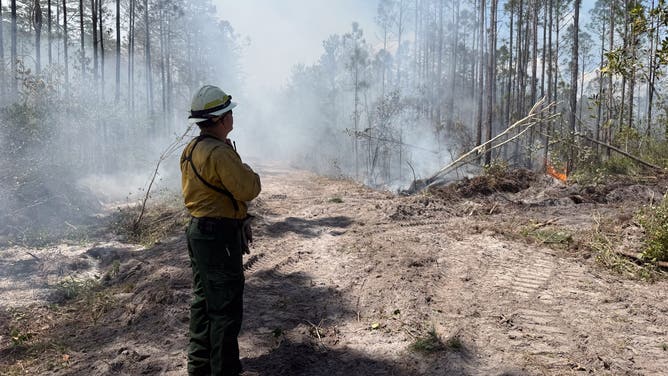 A firefighter stands among charred trees and smoke from the Highway 82 Fire on April 23, 2026.