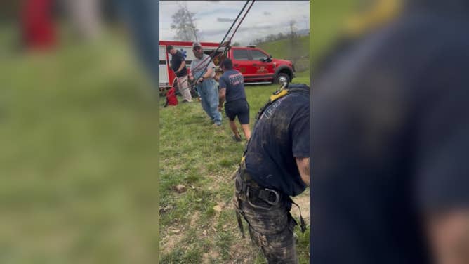 The community working together to haul the cow out. 