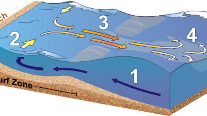 Anatomy of a rip current