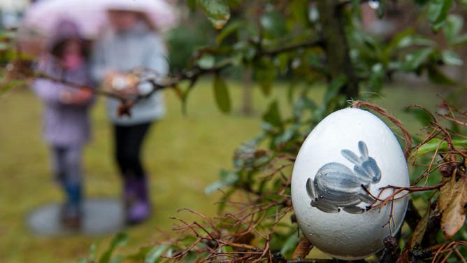 The two sisters Amanda (L) and Paula hunt for Easter eggs during rainfall in their garden in Quelkorn, Germany, 27 March 2016.