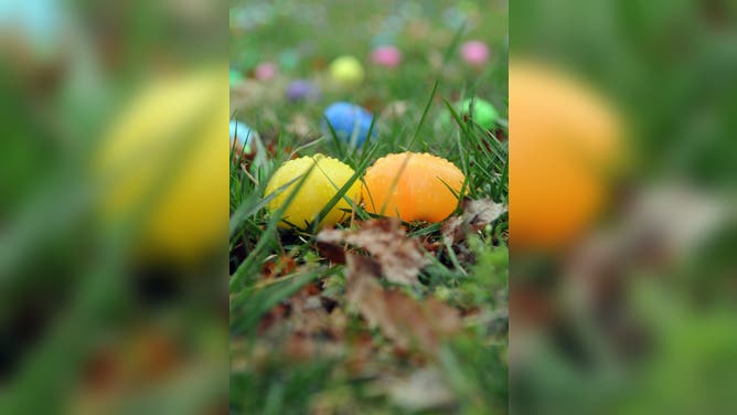Exeter's annual egg hunt at Exeter Community Park. Photo by Susan L. Angstadt 03/24/12