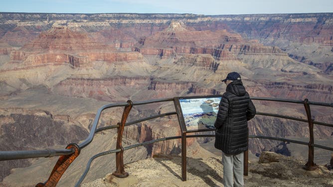 Grand Canyon National Park, Arizona. A visitor views the Grand Canyon from Mohave Point on the South Rim.