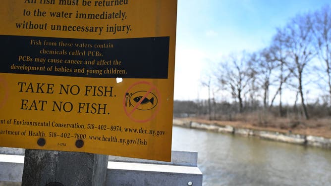 FORT EDWARD, NY - MARCH 11: A sign warning of the dangers of consuming PCB contaminated fish is posted by Hudson River at Champlain Canal Lock C6 on Wednesday, March 18, 2026, in Fort Miller, N.Y.