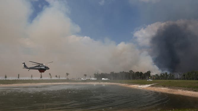 NAPLES, FLORIDA - APRIL 14: A U.S. Forest Service firefighter's helicopter takes on water from a pond to pour on a wildfire on April 14, 2026, in Naples, Florida. According to the Florida Forestry Service, approximately 1,500 acres have been burned with the fire 15% contained. Conditions in the area are conducive to wildfires due to the lack of rain, which has led to drought.