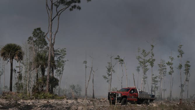 NAPLES, FLORIDA - APRIL 14: A Marco Island fire truck drives through a burnt area as they help the Florida Forest Service battle a wildfire on April 14, 2026, in Naples, Florida. More than 1,500 acres have burned with the fire at 40% containment, according to the Florida Forestry Service.  The historic drought has triggered evacuations in the area.