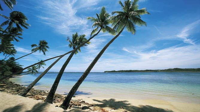 DECEMBER 29: Palm trees leaning over the beach, Natadola Beach, Viti Levu, Fiji 