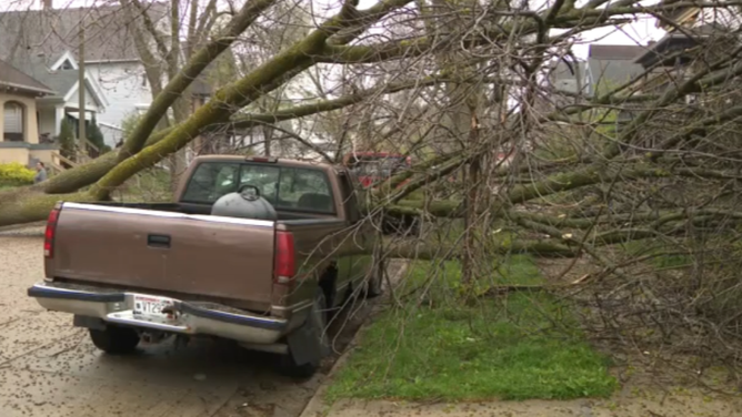 Severe weather brings down trees in Milwaukee Monday afternoon.