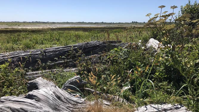 Oyhut Wildlife Recreation Area