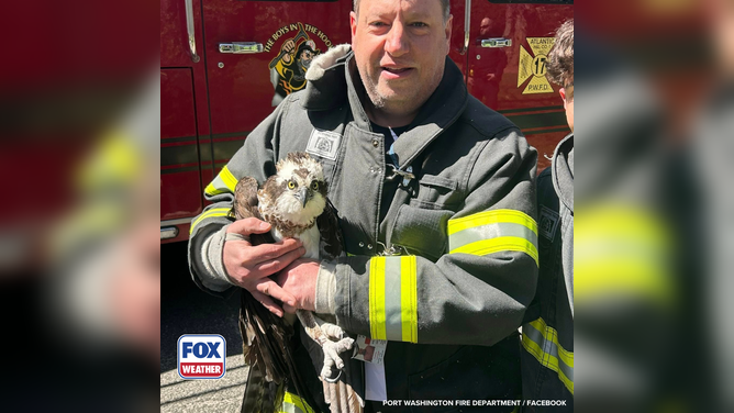 First responders take photo with large bird they rescued in New York.