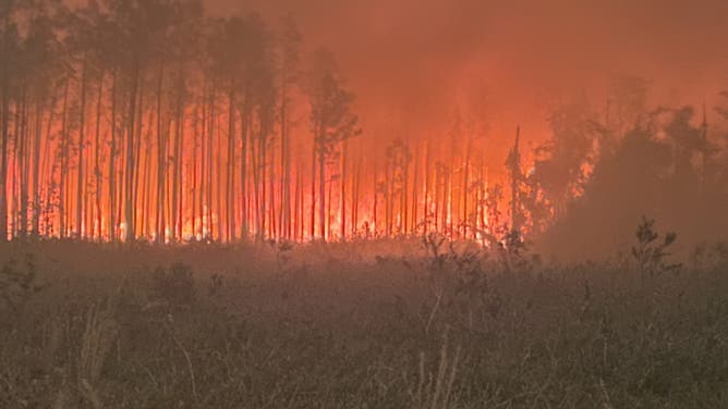 Flames from the Pineland Road Fire create an apocalyptic scene on April 25, 2026.