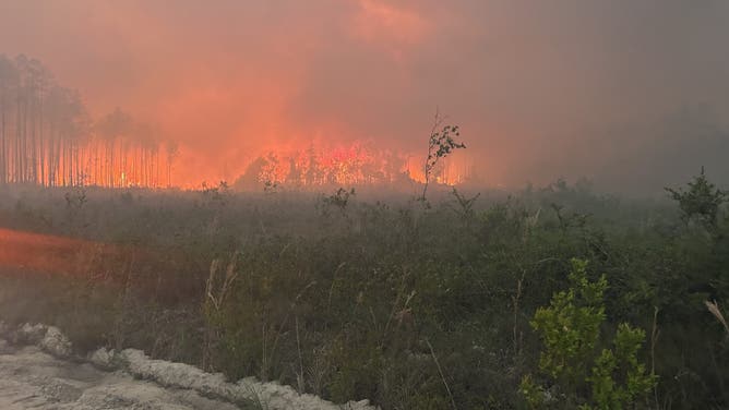 Pineland Road Fire on April 25, 2026.