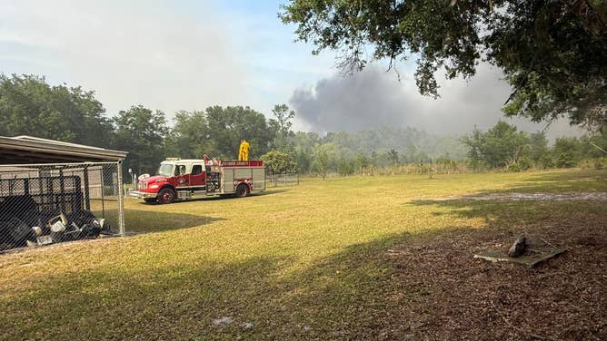 Wildfire burns in Putnam County, Florida on April, 20, 2026.