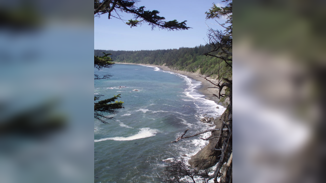 Third Beach along Washington's South Coast