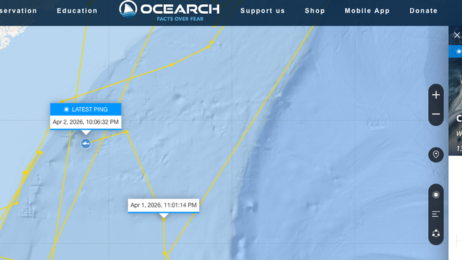 Contender's latest pings