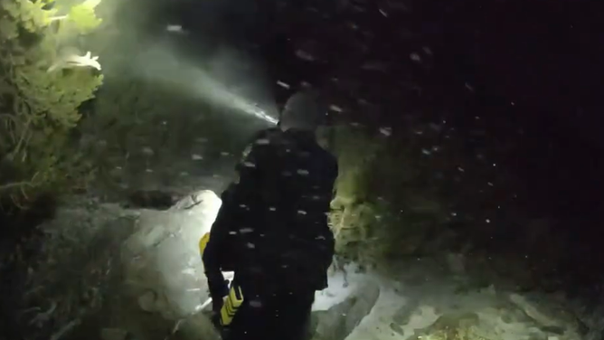 Members of the Clear Creek County Sheriff’s Office look for a mountain lion after rescuing two hikers who the animal was stalking in Colorado.