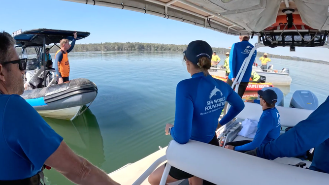 The crews all spoke about how to rescue the whale. 