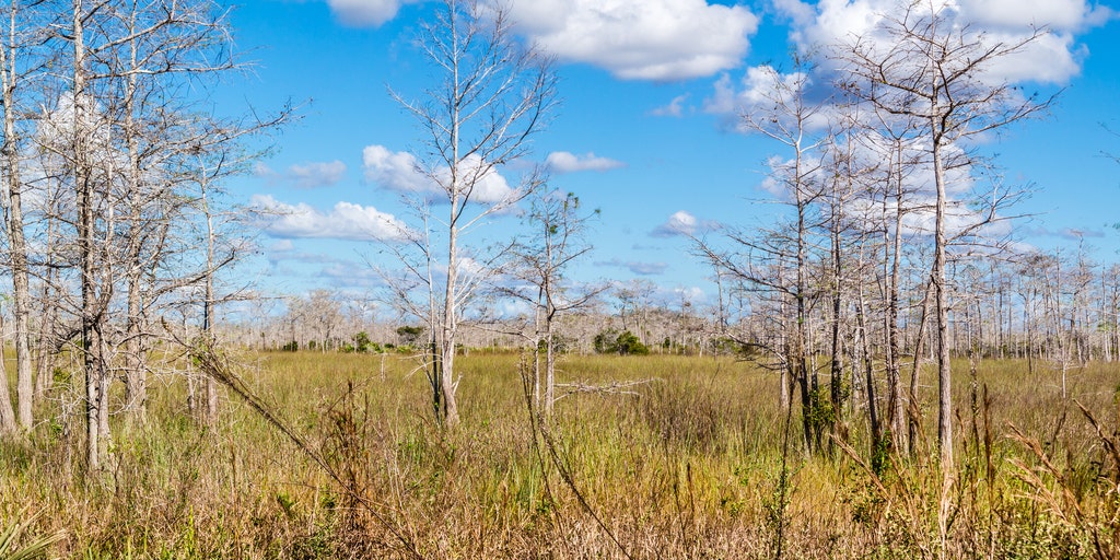 Beneficial rain to ease historic drought conditions across the Southeast this week