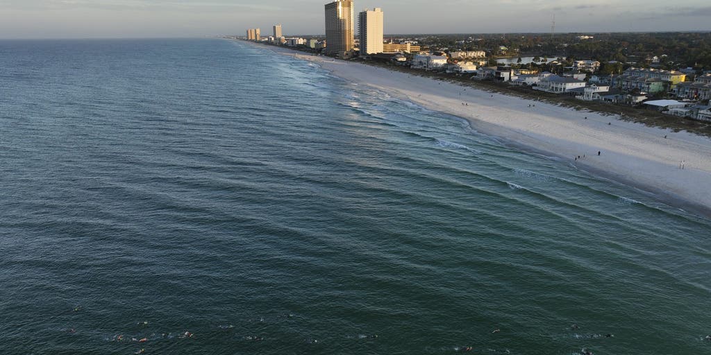 Health advisories issued for popular Florida Gulf Coast beaches due to fecal bacteria in water