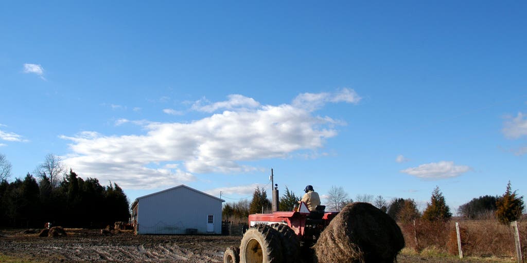 New Jersey declares state of emergency due to April freeze that killed roughly $300M in crops